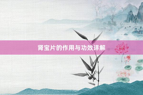 肾宝片的作用与功效详解